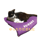 まはしゃいマミオ（個別スタンプ：3）