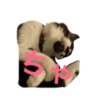 まはしゃいマミオ（個別スタンプ：8）