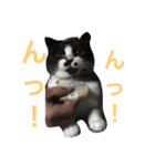 まはしゃいマミオ（個別スタンプ：9）