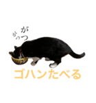 まはしゃいマミオ（個別スタンプ：15）