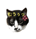 まはしゃいマミオ（個別スタンプ：16）