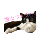 まはしゃいマミオ（個別スタンプ：21）