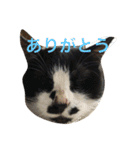 まはしゃいマミオ（個別スタンプ：26）