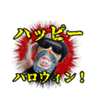 グラサンヒゲおじさんの心温まるお言葉（個別スタンプ：1）
