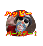 グラサンヒゲおじさんの心温まるお言葉（個別スタンプ：2）