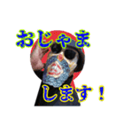 グラサンヒゲおじさんの心温まるお言葉（個別スタンプ：34）