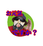 グラサンヒゲおじさんの心温まるお言葉（個別スタンプ：40）