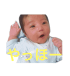 まぴまぴスタンプ2（個別スタンプ：6）
