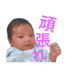 まぴまぴスタンプ2（個別スタンプ：13）