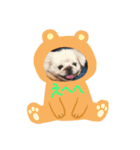 3わんちゃんスタンプ（個別スタンプ：1）