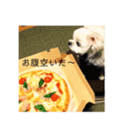 ちろろこ（個別スタンプ：7）