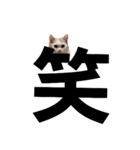 いちいちミルちゃん(一言編)（個別スタンプ：5）