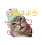 ねこまりん（個別スタンプ：1）