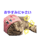 ねこまりん（個別スタンプ：2）