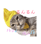 ねこまりん（個別スタンプ：14）