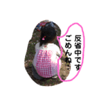 keays' mama（個別スタンプ：12）