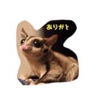 フクロモモンガさくら（個別スタンプ：2）