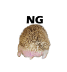 ハリネズミ うにた 第1弾（個別スタンプ：6）