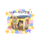 サスケ＊まつり＊れもんの日常スタンプ（個別スタンプ：1）