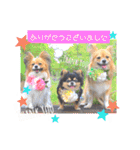 サスケ＊まつり＊れもんの日常スタンプ（個別スタンプ：6）