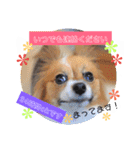 サスケ＊まつり＊れもんの日常スタンプ（個別スタンプ：9）