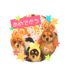サスケ＊まつり＊れもんの日常スタンプ（個別スタンプ：15）