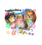 サスケ＊まつり＊れもんの日常スタンプ（個別スタンプ：16）