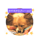 サスケ＊まつり＊れもんの日常スタンプ（個別スタンプ：18）
