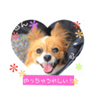 サスケ＊まつり＊れもんの日常スタンプ（個別スタンプ：20）