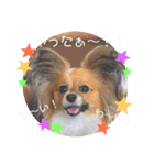 サスケ＊まつり＊れもんの日常スタンプ（個別スタンプ：21）