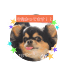 サスケ＊まつり＊れもんの日常スタンプ（個別スタンプ：25）