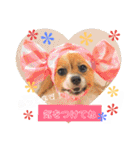 サスケ＊まつり＊れもんの日常スタンプ（個別スタンプ：26）