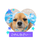 サスケ＊まつり＊れもんの日常スタンプ（個別スタンプ：38）