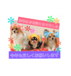サスケ＊まつり＊れもんの日常スタンプ（個別スタンプ：40）