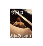 マイケル子の日常（個別スタンプ：1）