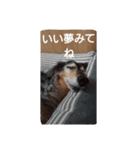 マイケル子の日常（個別スタンプ：14）