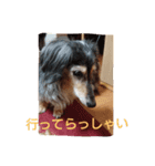 マイケル子の日常（個別スタンプ：16）