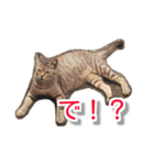 ぶすかわネコの日常（個別スタンプ：28）