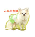 チワワの宙夢スタンプ（個別スタンプ：2）
