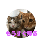 レオヨナくん③（個別スタンプ：1）
