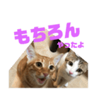 レオヨナくん③（個別スタンプ：9）