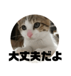 レオヨナくん③（個別スタンプ：10）