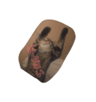 るん 保護猫ちゃん（個別スタンプ：7）