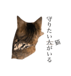 るん 保護猫ちゃん（個別スタンプ：9）
