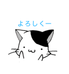 みにねこ(日常)（個別スタンプ：12）