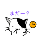 みにねこ(日常)（個別スタンプ：17）