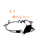 みにねこ(日常)（個別スタンプ：30）