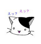 みにねこ(日常)（個別スタンプ：31）