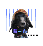 obochamas stamp（個別スタンプ：14）