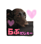 obochamas stamp（個別スタンプ：15）